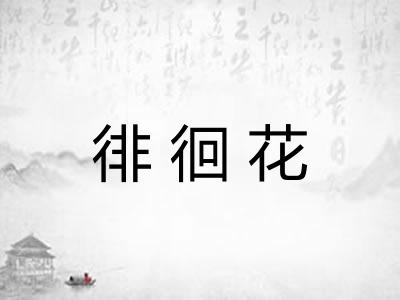 徘徊花