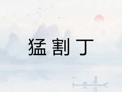 猛割丁