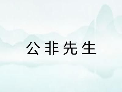 公非先生