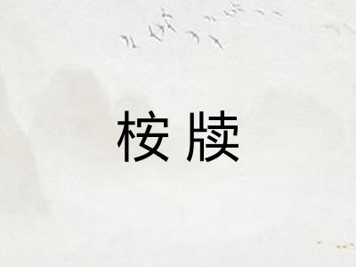 桉牍