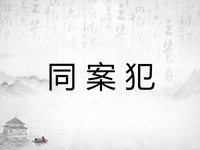 同案犯