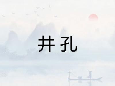 井孔