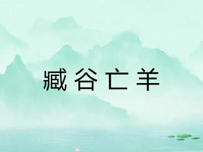 臧谷亡羊