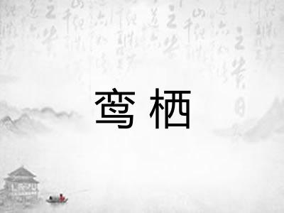 鸾栖