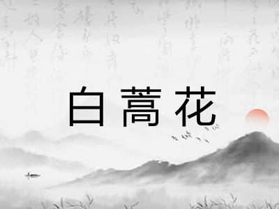 白蒿花