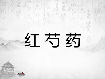 红芍药
