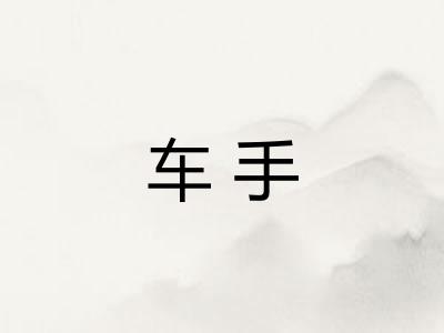 车手