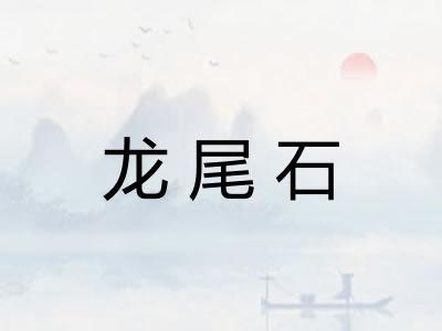 龙尾石