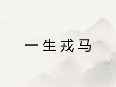 一生戎马