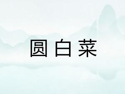 圆白菜