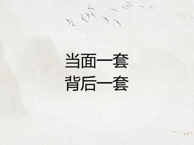 当面一套背后一套