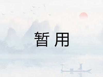 暂用