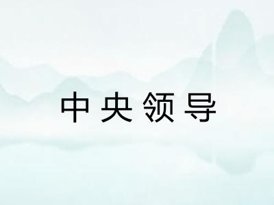 中央领导