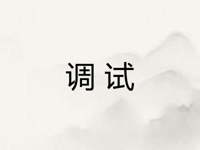 调试