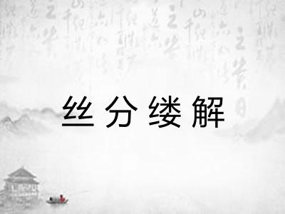 丝分缕解