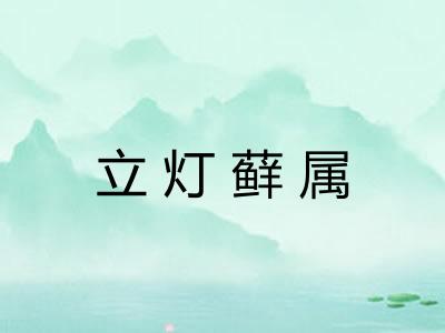 立灯藓属