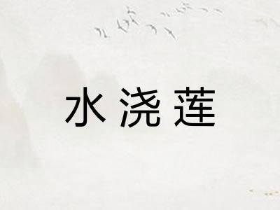 水浇莲