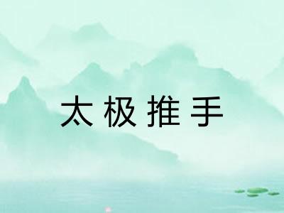 太极推手