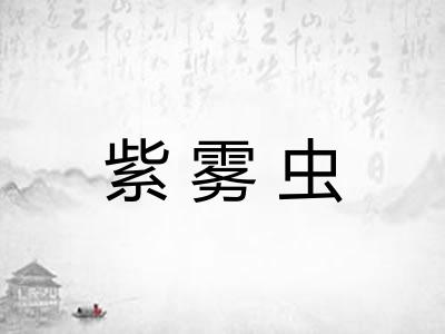 紫雾虫