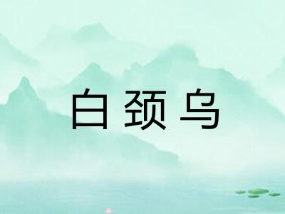 白颈乌