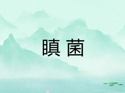 瞋菌