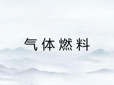 气体燃料