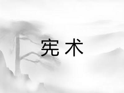 宪术