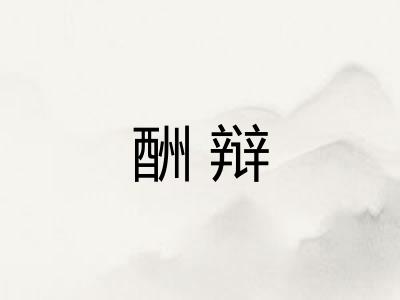 酬辩