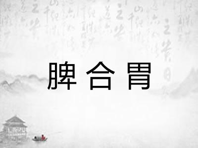 脾合胃