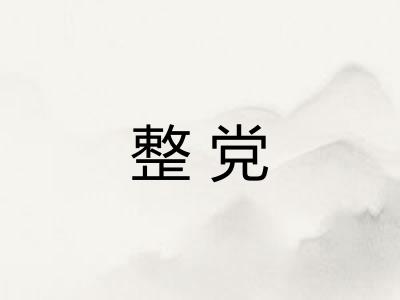 整党