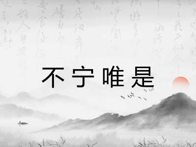 不宁唯是