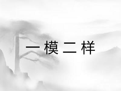 一模二样