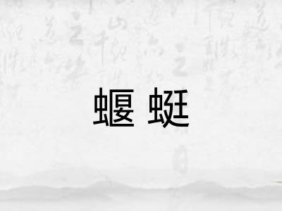蝘蜓