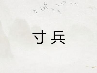 寸兵