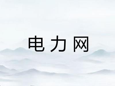 电力网