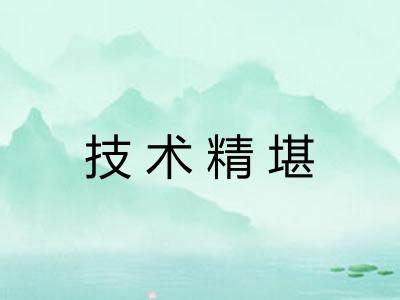 技术精堪