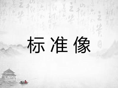 标准像