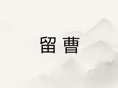 留曹