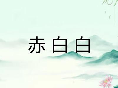 赤白白