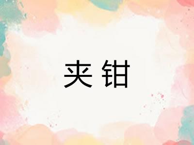 夹钳