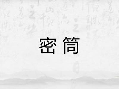 密筒
