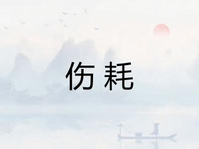 伤耗