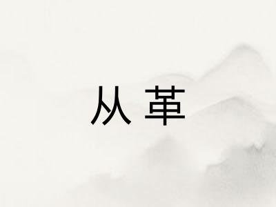 从革