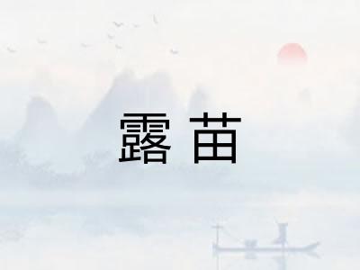 露苗