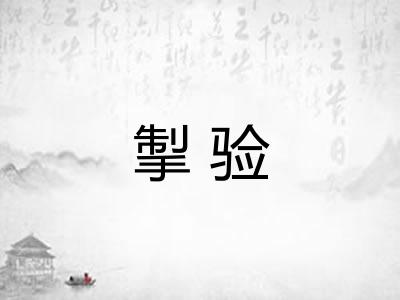 掣验