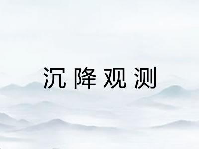沉降观测