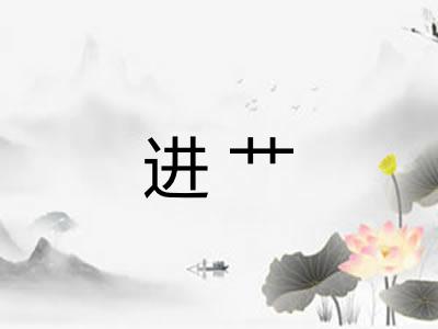 进艹