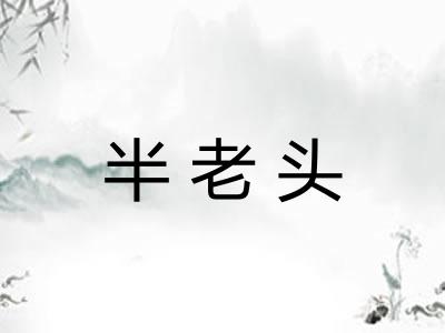 半老头
