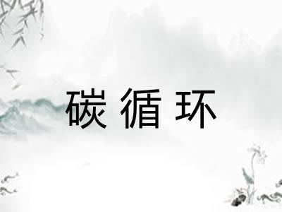 碳循环