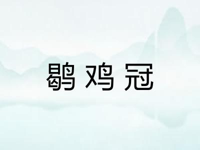 鹖鸡冠
